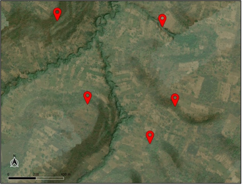 combined satellite and lidar image